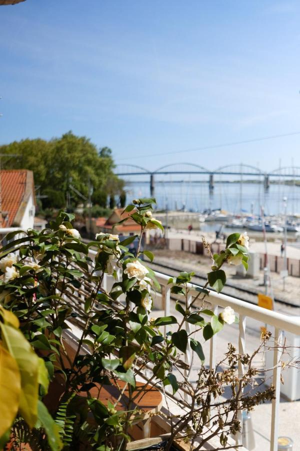 Aquarela Do Tejo Guesthouse 希拉自由镇 外观 照片